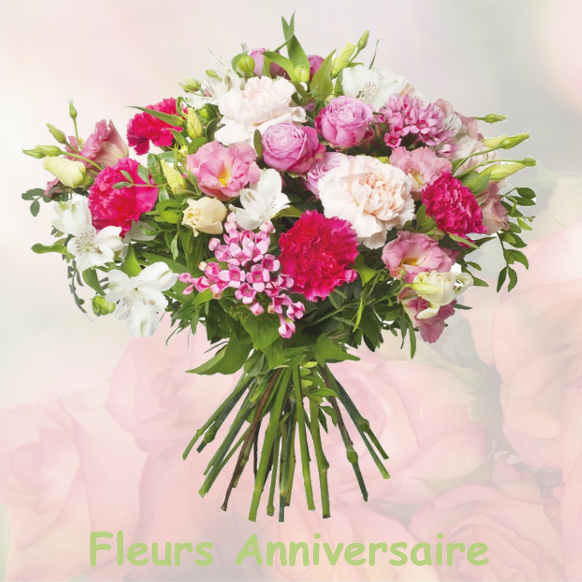 fleurs anniversaire GAILLON-SUR-MONTCIENT